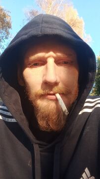 Mikko